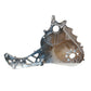 Matryx and Axys Extended Belt Drive