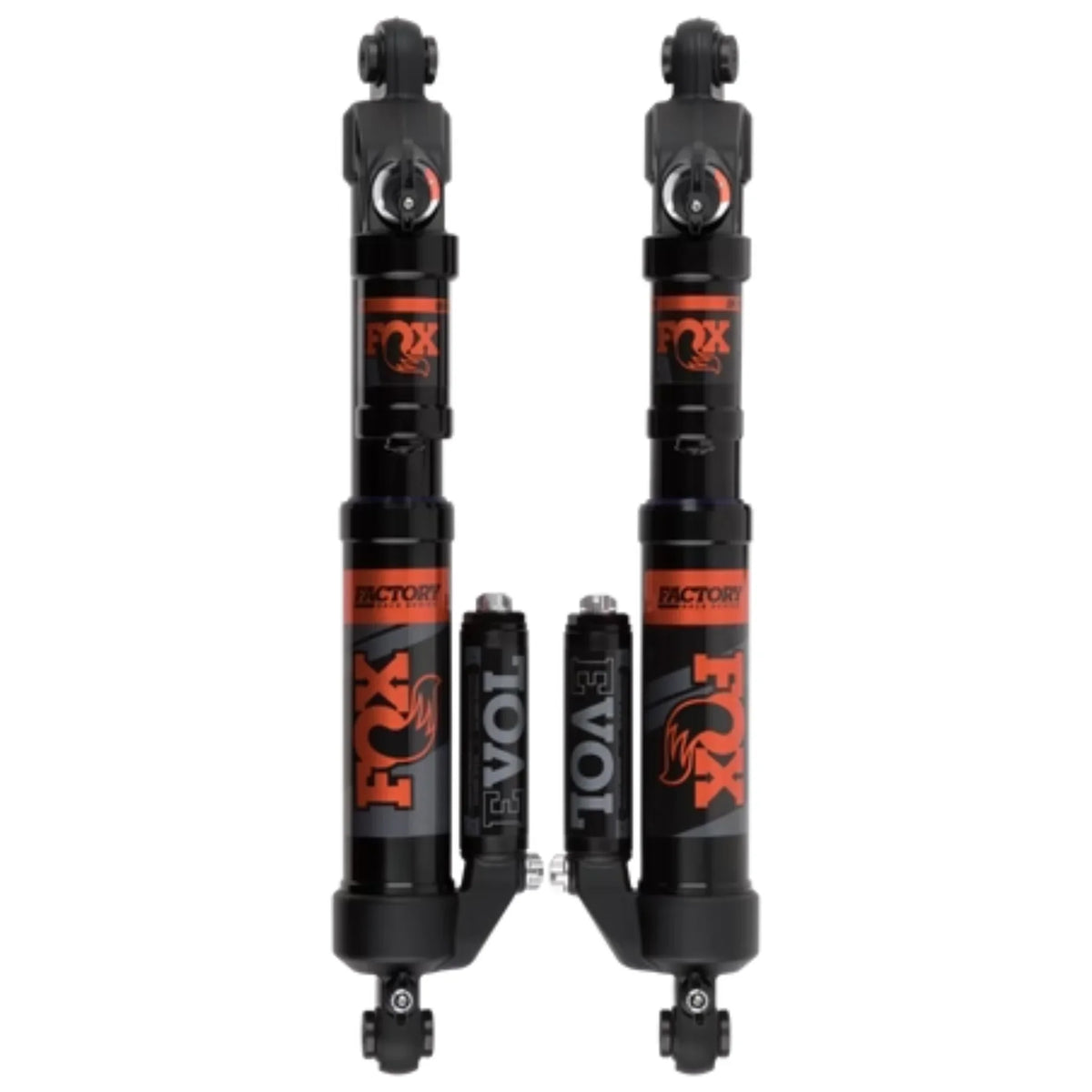 FOX Float QSL EVOL Ski Shocks