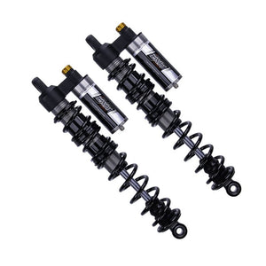 Ski-Doo/LYNX Mountain X2 EXIT Ski Shocks (2017-2026)
